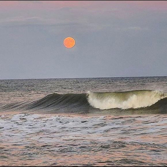 Meet your Posher, Lisa - Picture 1 of 1